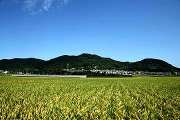 山にも魅力たっぷりの福津