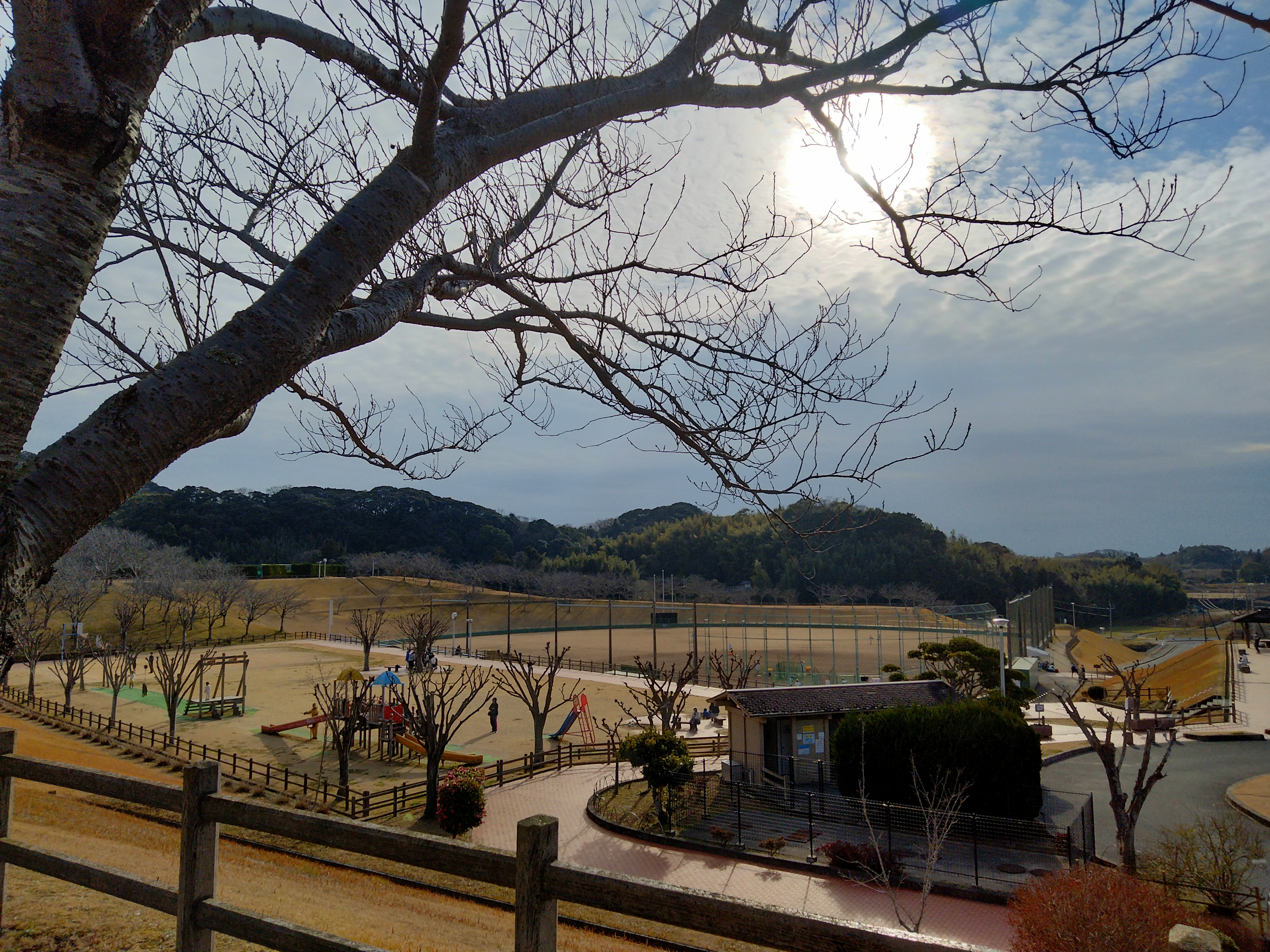 憩いの場「運動公園」